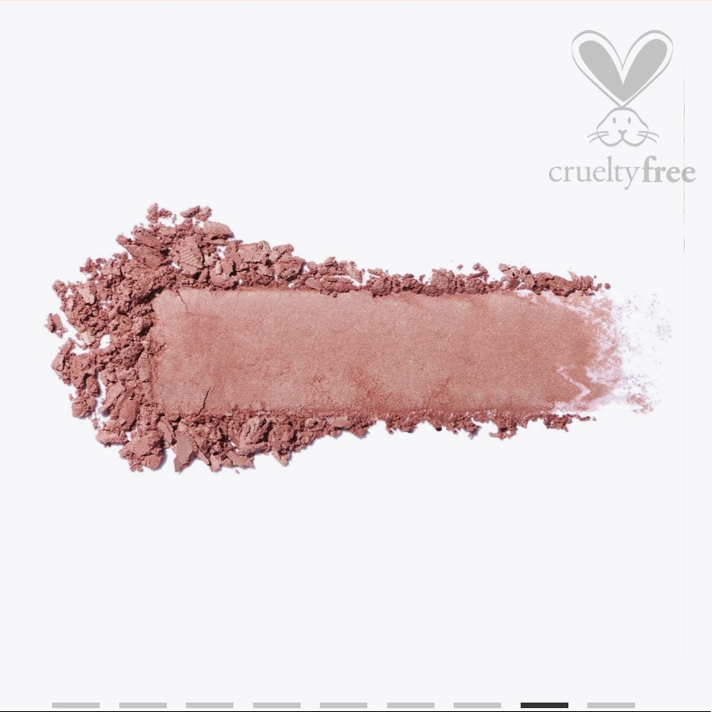 🌺 ICONIC LONDON BLAZE CHASER FACE PALETTE - Picture 13 of 14